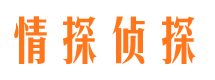 元坝情探私家侦探公司